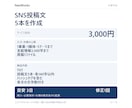 SNS投稿文を5本作成します 支給情報から作成｜1媒体・各140字以内 イメージ1