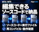 EX4・EX5をソースコードへデコンパイルします 最安値に挑戦｜他社で断られたファイルも歓迎！ イメージ3