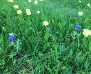 聞かせてください、あなたの気持ちを受け止めます 悩みが解決するか分かりません、でも温かい時間がここにあります イメージ7