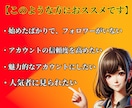 Instagramの外国人フォロワーを増加します 30日保証！複数垢に振り分け、ゆっくりフォロワー増加も対応！ イメージ3