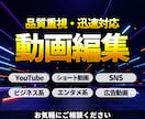 品質重視でご要望に沿った動画編集をいたします 見やすさ・テンポ重視！幅広ジャンルに丁寧に対応いたします。 イメージ1