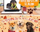 動物が主役のヘッダー、バナーをデザインします 愛するペット画像であなたメディアをさらに盛り上げませんか？ イメージ5