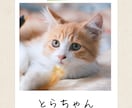 猫instagramの投稿や広告画像制作します ねこに特化！イメージに寄り添い丁寧にデザイン制作いたします！ イメージ2