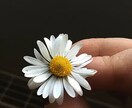 ブロック解除ひとつ致します 人間関係・物などでマイナスのブロック解除致します。 イメージ1