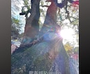 開運★龍神フォトと守護龍神のアドバイスを伝えます 波動を上げて願望成就へ導く★守護龍神様チャネリング イメージ2