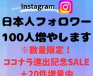 インスタの日本人フォロワー１００人増やします ※数量限定ココナラ進出記念SALE プラス２０無料追加中！ イメージ1