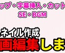 YouTube動画をテンポ良く丁寧に編集します ゲーム実況、配信の切り抜きの動画を得意としています。 イメージ1