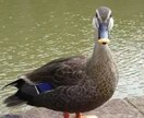 釣り、アウトドアなどの相談を受けつけます アウトドアなどの趣味に関しての相談アイデアにオススメ イメージ1
