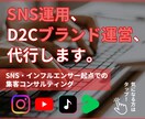 SNS・インフルエンサー起点での集客コンサルします ※ SNS運用代行、D2Cブランド運営など、豊富に実績あり イメージ1