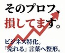 ビジネス特化。「売れる」ビジネスへ整形します 売上を増やすための「選別」リライトを行います。 イメージ1