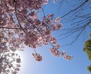 元保育士、あなたの心に寄り添います どんな話でも！否定なし！頑張ってるあなたに寄り添います イメージ2
