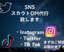 スカウトDM代行致します Instagram、Twitter、TikTok等 イメージ1