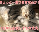 ゆっくりお話聞きます 少しだけ休みませんか？頑張って話さなくても大丈夫！ イメージ1