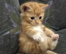 どんなお話でも親身になって聞かせていただきます 高校生の視点によるお悩み相談受付中 イメージ1