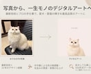 北欧モダン｜ペットの似顔絵を作ります ３営業日納品｜限定価格｜モダンでおしゃれなおうちの子似顔絵 イメージ2