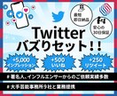 Twitter★ツイートを日本国内にバズらせます インプレッション・いいね・リツイート全てコミコミの価格です！ イメージ1