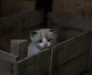 コミュ障の改善方法をお伝えします 陰キャだったとか嘘だろ？と言われるようになるまでの経験の全て イメージ1