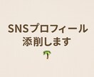 あなたのSNSプロフィール、整えます SNS初心者でも大丈夫自分らしい見せ方提案します イメージ1