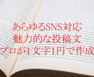 プロが各SNSに対応した投稿文を作成します あらゆるSNS対応、SNSごとに最適な投稿文をプロが作成 イメージ1