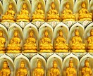 菩薩まで引き上げて、あなたを菩薩にします ★仏の存在としての使命・役割を果たすために★ イメージ10