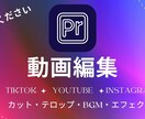 PremierePro 動画編集サポートします YouTube向けフル動画編集対応！ イメージ1