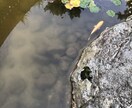 シンプルにあなたのお話を聞かせて頂きます ただ聞いてほしい！お気持ち受け止めます。 イメージ1