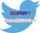 Twitterでの集客を手伝います フォロワー4500人の私が全力サポート！ イメージ1