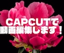 動画編集をします 動画編集が苦手な方のお手伝いができればと思います。 イメージ1