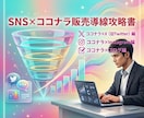 SNS連動で指名買いを作る販売導線戦略書添付します 販売導線構築 / エックス編 / インスタ編 / ブログ編 イメージ1