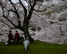 簡易ホームページを格安で作成します 簡易的なホームページと1年契約のドメイン＆メールアドレス イメージ8