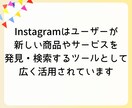 必ずお金になる日本人フォロワー１００人増やします Instagram日本人フォロワー+100人増加 イメージ4