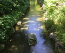 あなたの話し相手になります ・気軽に話せる相手がほしい方・聞いてほしい話がある方 イメージ2