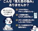 ワードプレスの表示崩れ・レイアウト調整を行ないます 1箇所からOK！スマホ対応も◎プロの技術で理想のデザインへ イメージ2