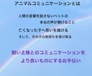 大切な家族（ペット）の想いを、そっと言葉にします 大切な家族であるペットの想いを、そっと丁寧に言葉にします イメージ2