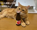 誰かと比べられるのは辛いですよね。お話聞きます あなたのこころが癒やされますように イメージ8