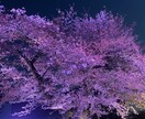 どんなことでも、あなたの味方になってお話を聞きます 1人で悩まず、思い切って打ち明けてみませんか？ イメージ1