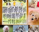 ペットちゃんのきもちをお伝えします ペットちゃんと絆が深まるお手伝いをさせていただきます！ イメージ2