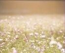 人の目が気になる悩みお聞きします どう思われるか不安な気持ちを整理します イメージ11
