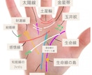 手相を勉強していて、分からない事の相談にのります 手相に関する事はどんな質問もOK！ イメージ3