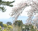 プロの心理士があなたのお悩みを聞きます 心理士の資格を持つ私があなたのお悩みを聞きます。 イメージ1
