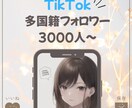 TikTok フォロワー3000人増加します 【最安値】振り分けOK！30日減少保障付き！ イメージ1