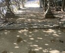静かな奈良旅をご提案します 観光だけでは出会えない奈良があります。 イメージ4