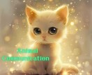 ペットロス/愛しい猫さんの想いを伝えます 亡くなった猫さんの愛のメッセージを受け取ってください イメージ1