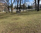 海外の生活の中で見ることのできる景色をお届けします 今海外に行ってますにぜひお使いください! イメージ10