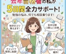 登録販売者試験の勉強、質問・相談乗ります 登販の勉強の悩み・暗記のコツ、5日間サポートします イメージ1