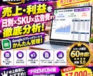 アマゾン物販の売上利益を日別SKU別まで管理します 日別・SKU別・広告費まで！物販の利益を細かく徹底管理 イメージ1