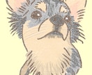 ペットちゃんのイラスト作成します お気に入りの1枚を、ほんわか癒やしのイラストにします イメージ1