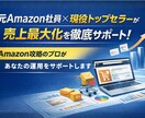 Amazon売上最大化コンサルティング致します Amazon売上加速ベーシックプラン イメージ1