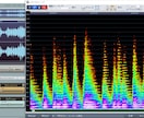 音声、音楽データのノイズ除去します 大切な音源データ、元の音を損ねずブラッシュアップ致します！ イメージ2