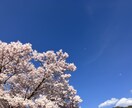 第六感とカラーセラピーを使用してお答えします 悩み事や聞いてほしい事があり第三者の視点を聞きたい方！ イメージ2